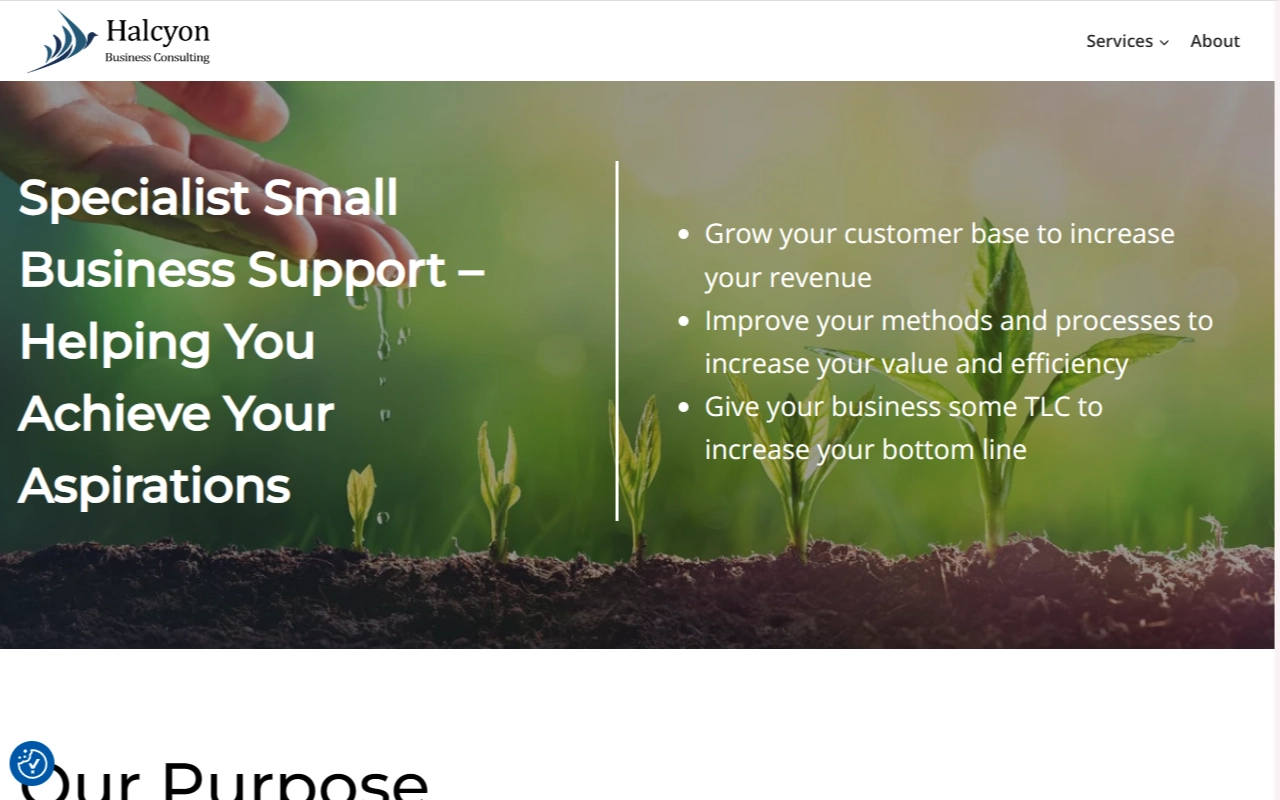 Halcyon Business Consulting Case Study